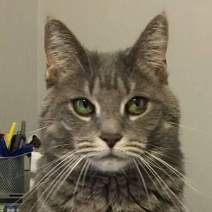 Meet your Posher, Sheila